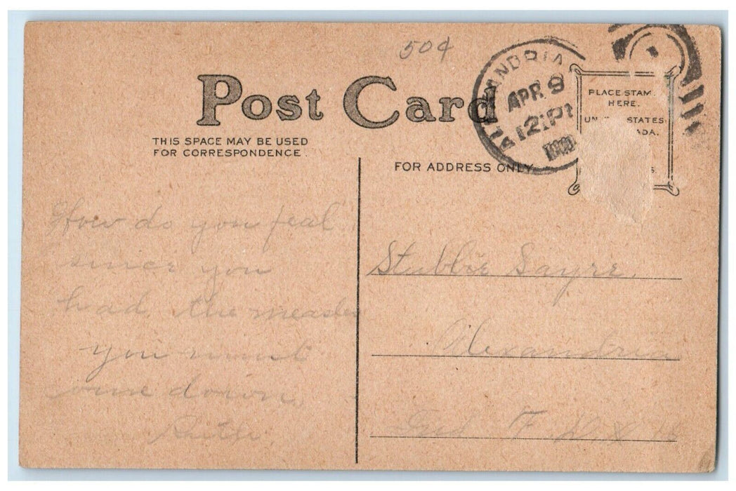 c1910's Easter Anthropomorphic Bunny Rabbit Egg Alexandria NY Antique Postcard