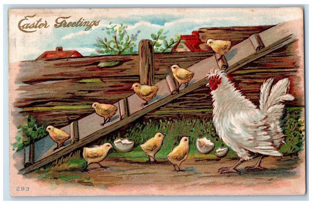 c1910's Easter Greetings Chicken Hen Hatched Egg Chicks Embossed Posted Postcard