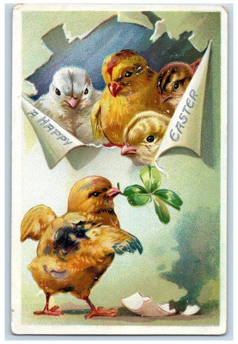 c1910's Easter Hatched Egg Chicks Shamrock Embossed Tuck's Antique Postcard