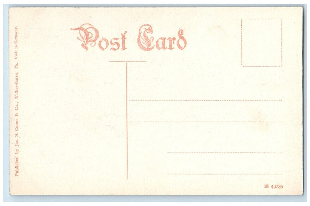 1910 City Hall Horse Carriage Street Exterior Wilkes Barre Pennsylvania Postcard