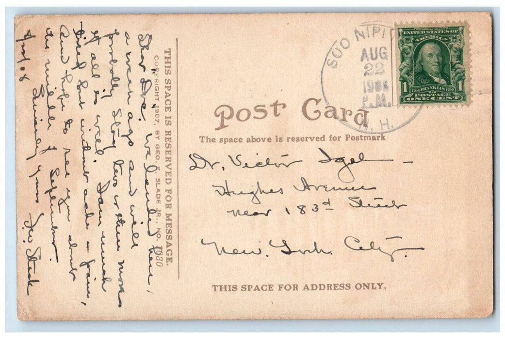 1908 Soo Nipi Park From Lake Lake Sunapee New Hampshire Antique Vintage Postcard