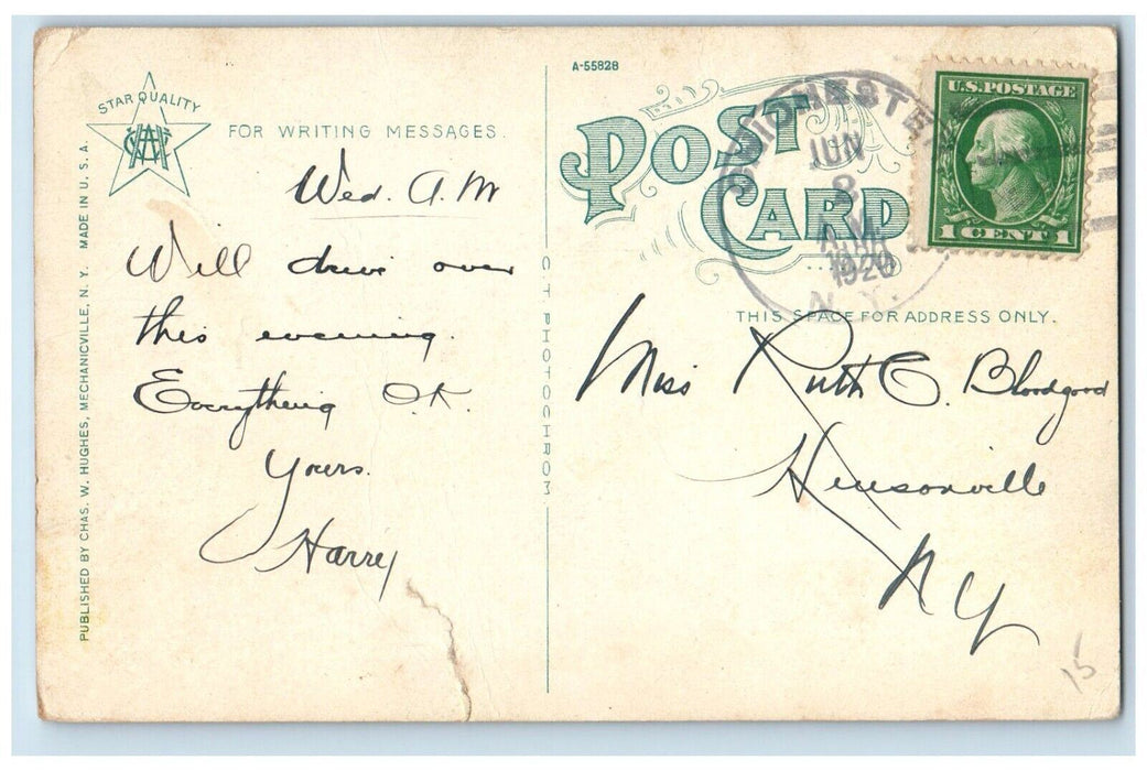 1920 Bridge Lake Main Drive Tiskilwa Park Chester Catskill Mts New York Postcard