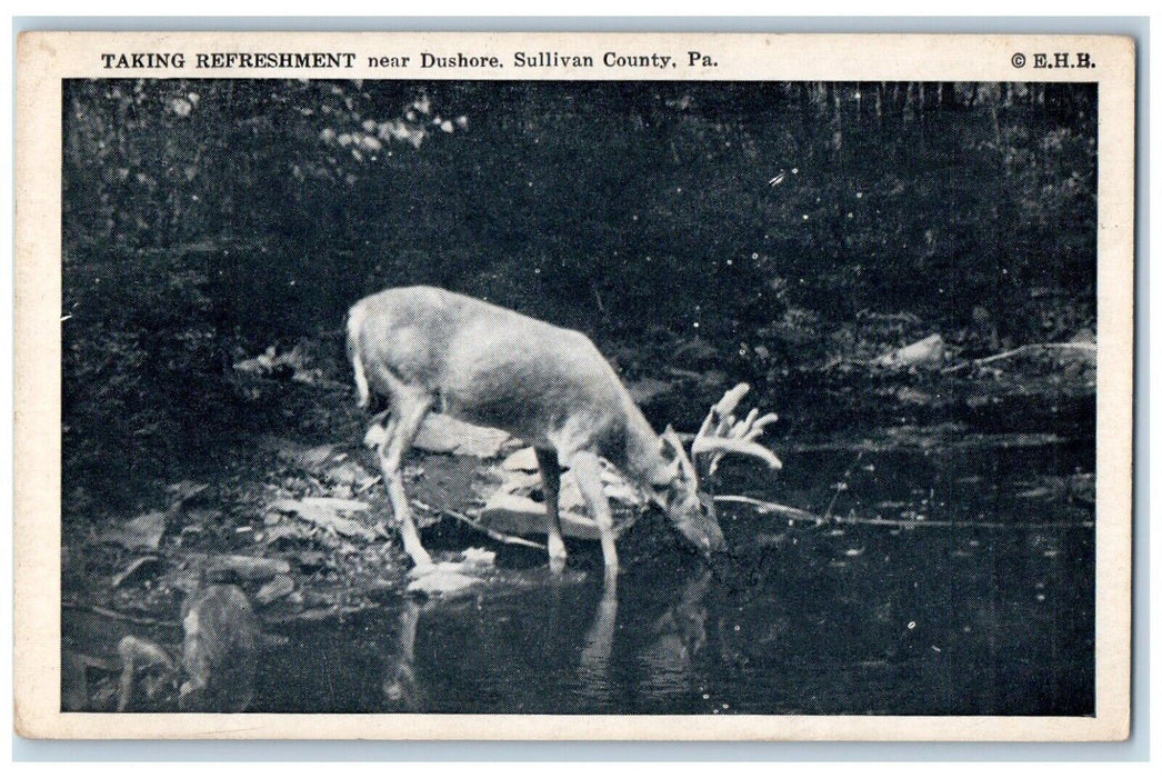 1949 Taking Refreshment Dushore Raindeer Sullivan County Pennsylvania Postcard