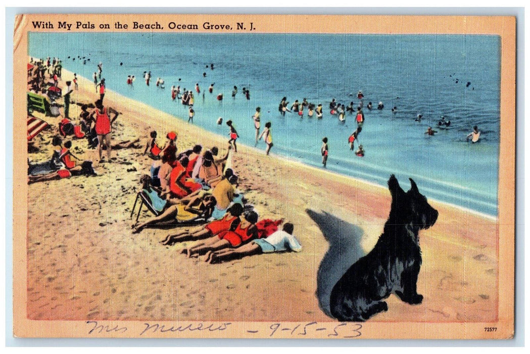 1953 With My Pals on the Beach Ocean Grove NJ Scottish Terrier Dog Postcard