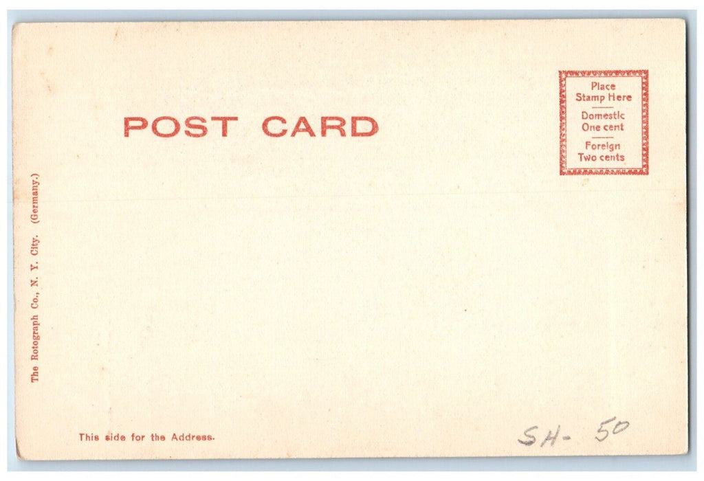 c1905 Shady Lane Berkshire Park Road Pittsfield Massachusetts Vintage Postcard
