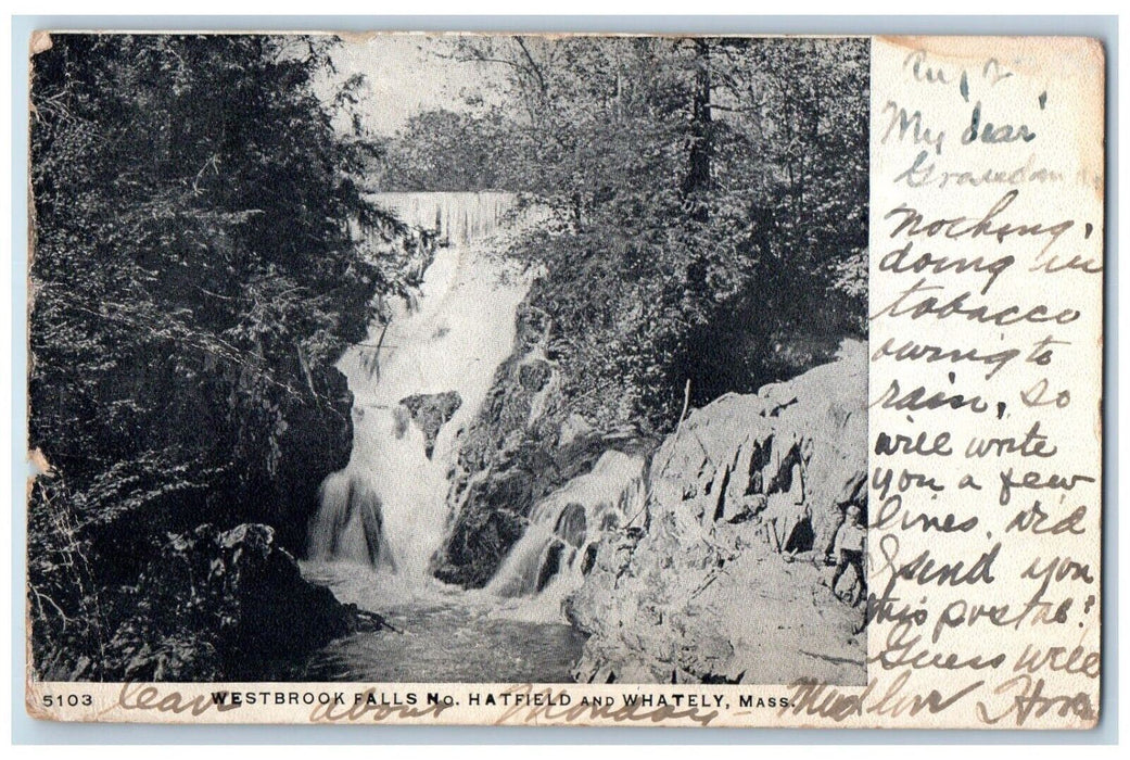 1906 Westbrook Falls No Hatfield Whately Massachusetts Vintage Antique Postcard