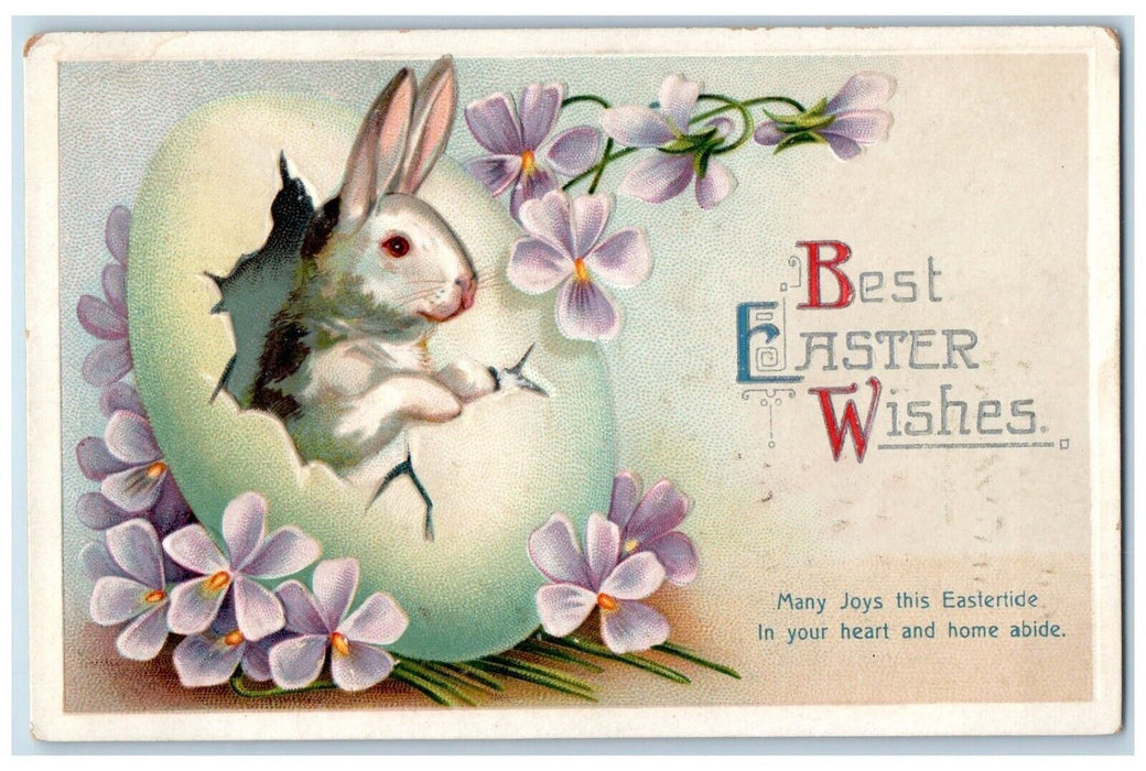 c1910's Easter Hatched Egg Rabbit Pansies Flowers Clapsaddle Embossed Postcard