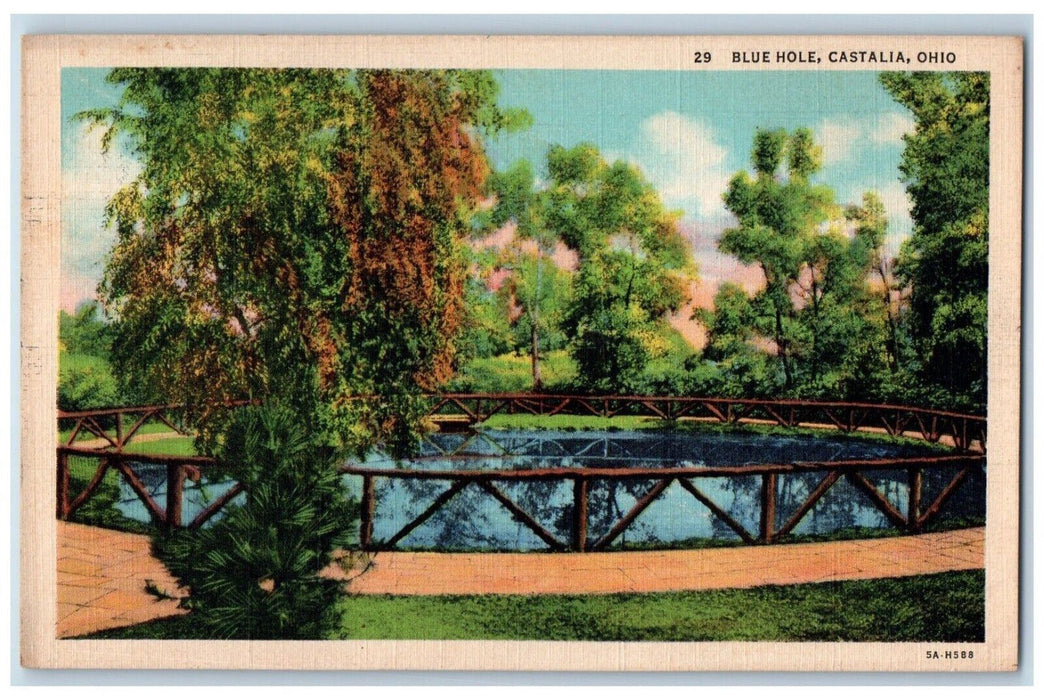 c1940 Blue Hole Castalia Pond Fence Park  Erie County Ohio OH Vintage Postcard