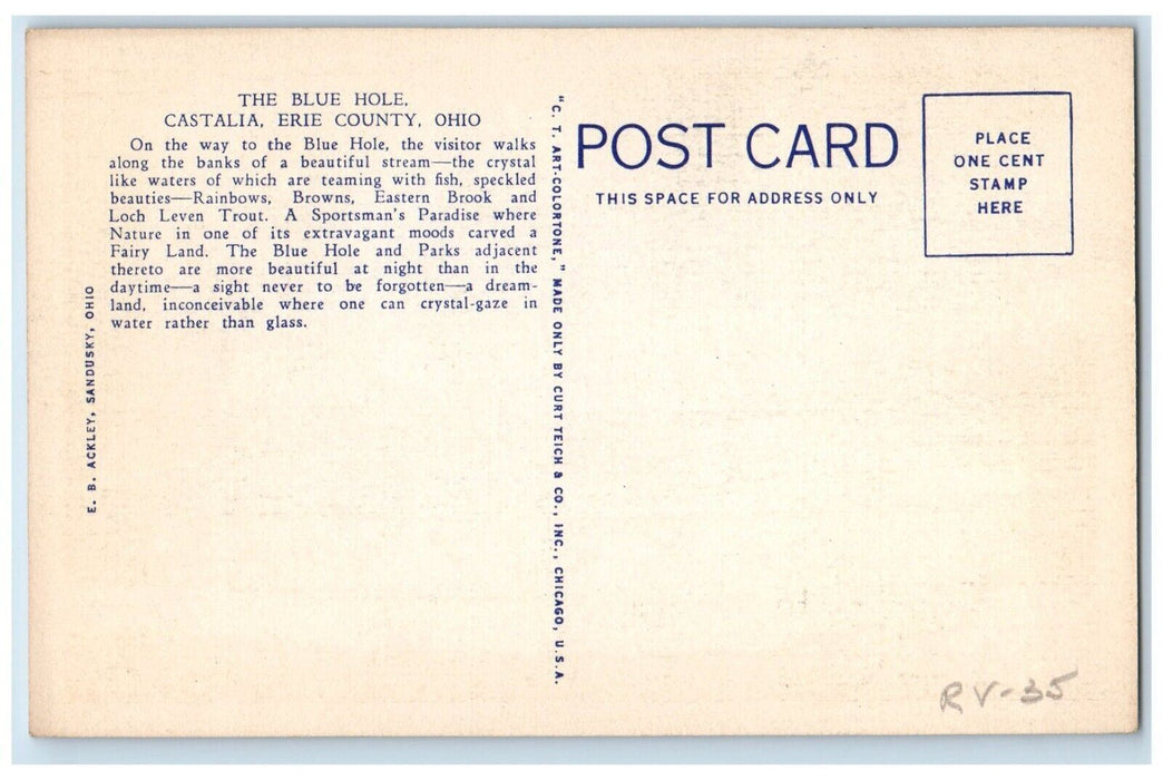 c1940 Blue Hole Castalia Pond Fence Park  Erie County Ohio OH Vintage Postcard