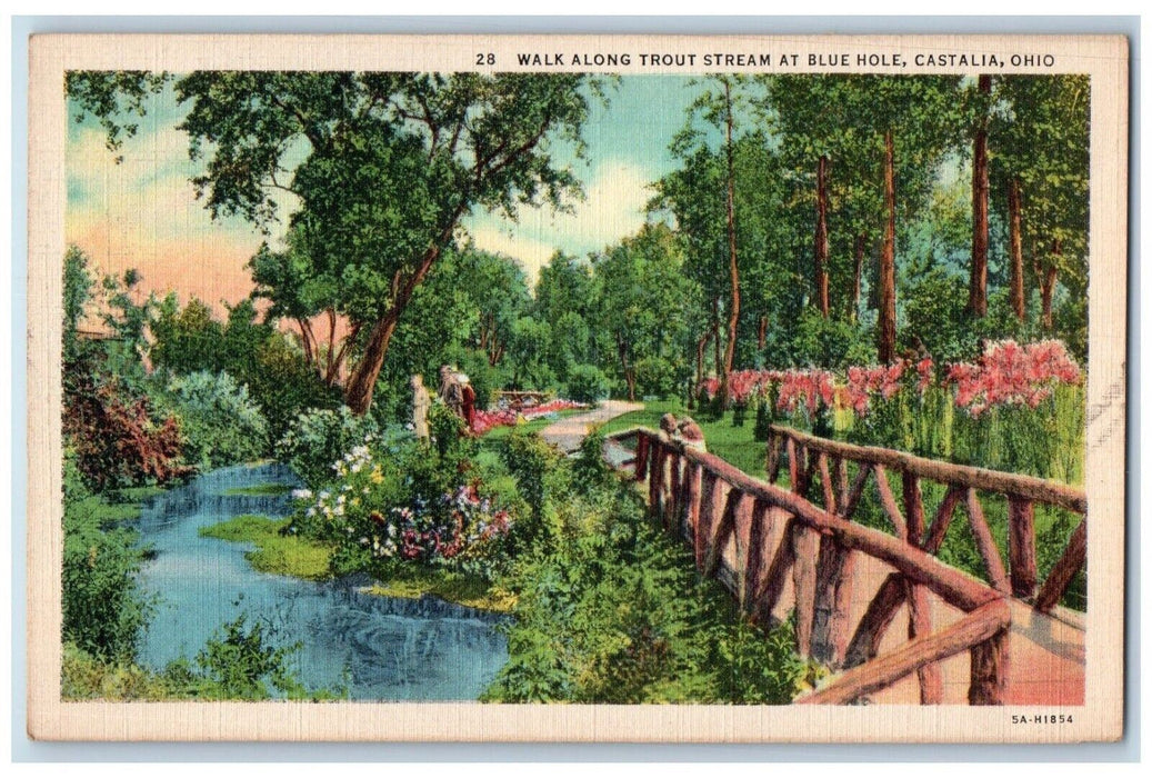 c1940 Walk Along Trout Stream Bridge Blue Hole Castalia Ohio OH Vintage Postcard