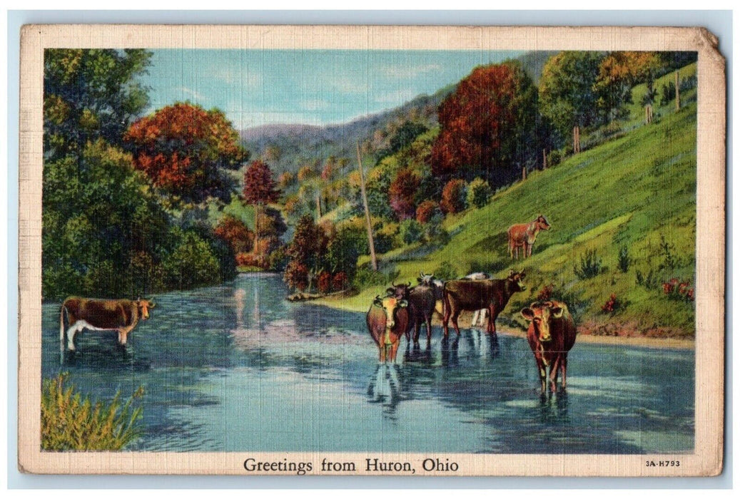 c1940 Greetings Huron Herd Cow River Mountain Ohio OH Vintage Antique Postcard