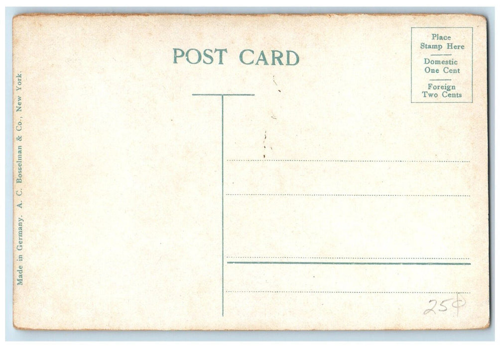 c1910 Rapids Transit Fort Pierce Herd Carriage Indian River Florida FL Postcard