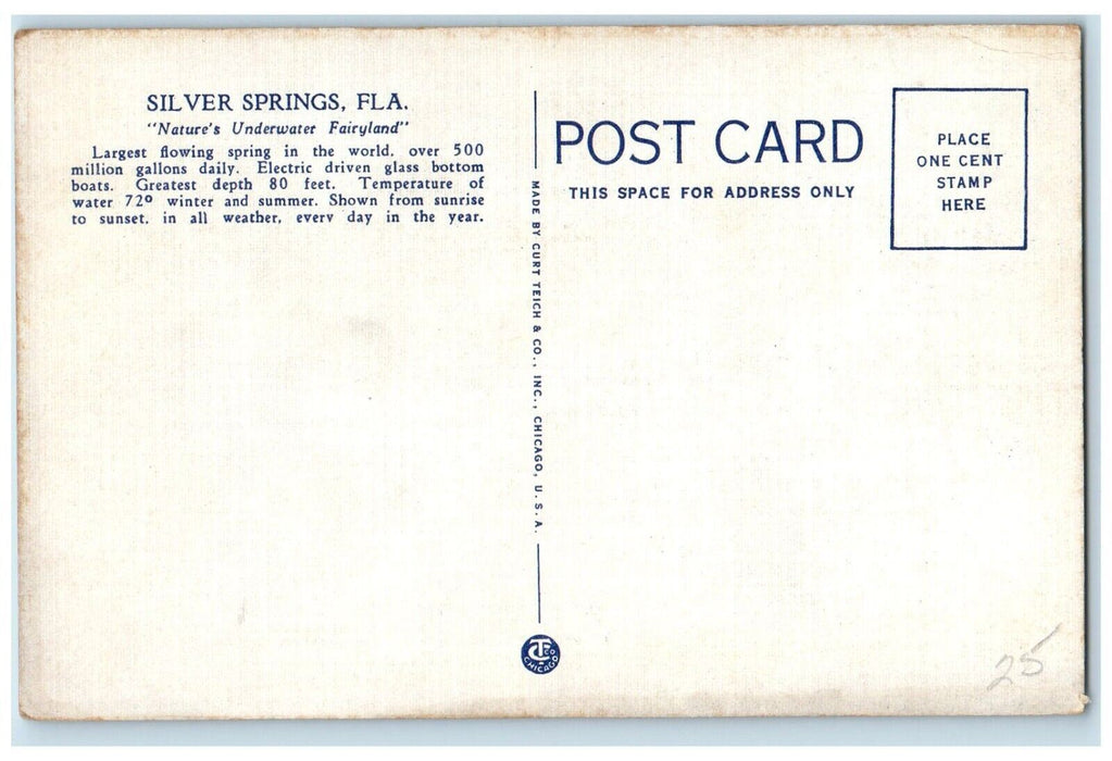 c1940 Bathing Crystal Clear Waters Fairyland Silver Springs Florida FL Postcard