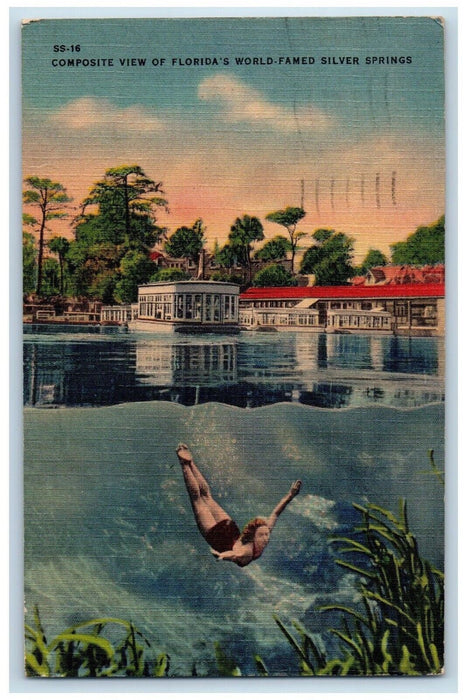 1949 Woman Diving Florida World Famed Silver Springs Daytona Florida Postcard