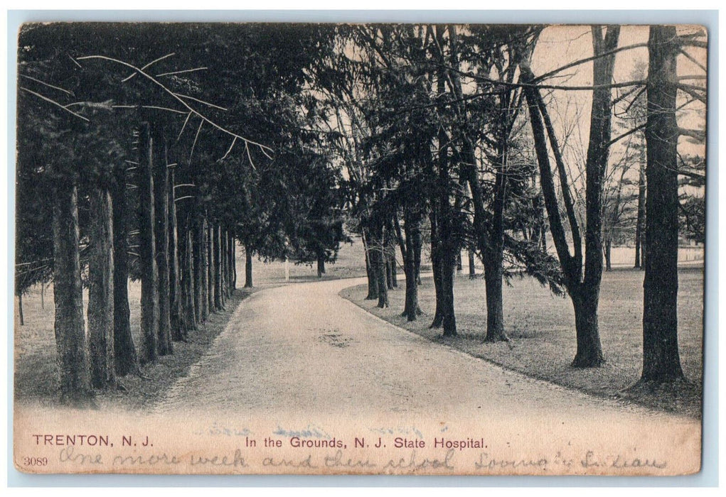 1906 In The Grounds, State Hospital Trenton New Jersey NJ Antique Postcard