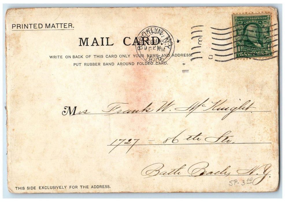 1906 Steamship Landing Levee Scene Saint Louis MO Printed Matter Postcard