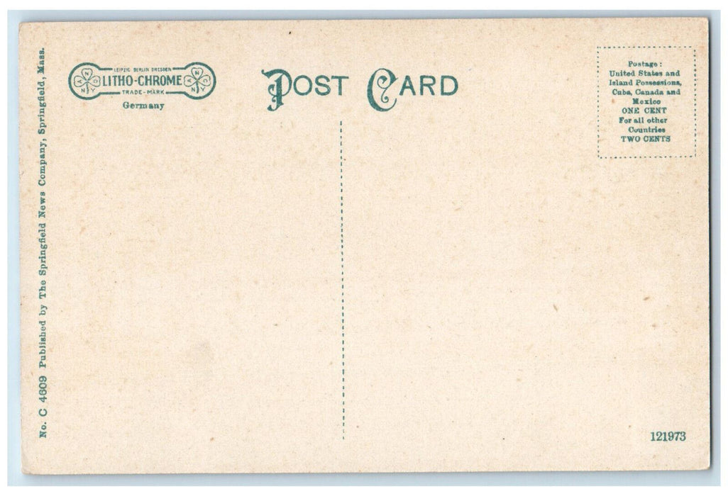 c1910 Park View Hotel Belchertown Massachusetts MA Antique Postcard