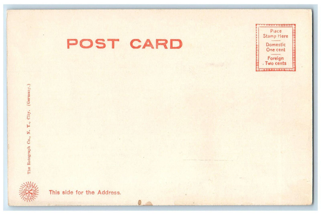 c1905 Massachusetts Avenue Arlington Massachusetts MA Antique Postcard