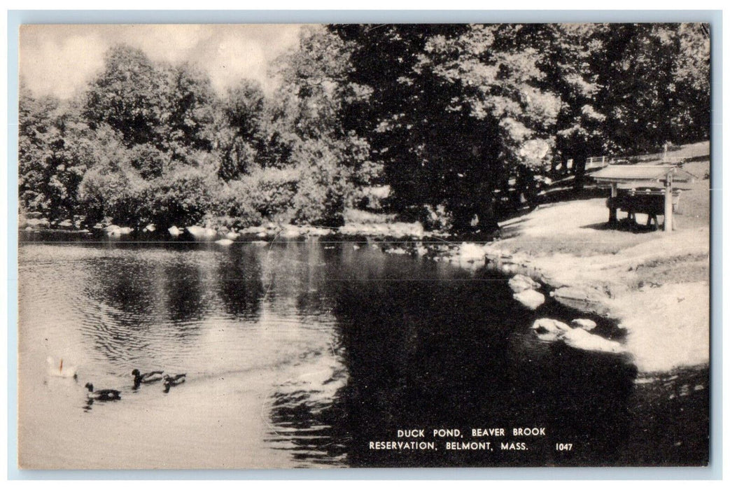 c1940's Duck Pond Beaver Brook Reservation Belmont MA Unposted Postcard