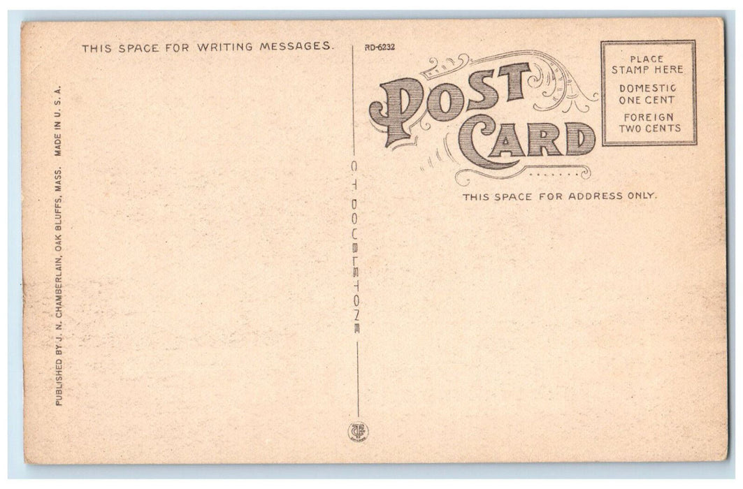 c1910 Martha's Vineyard National Bank Marthas Vineyard Massachusetts MA Postcard
