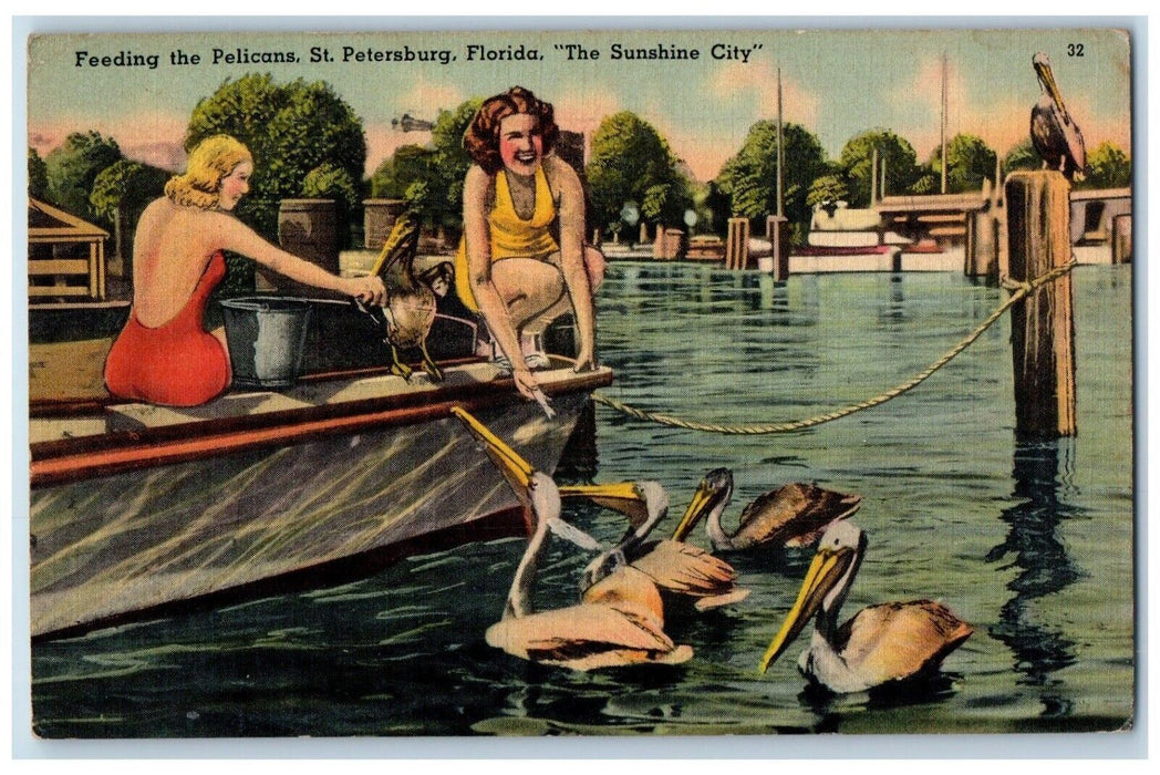 1940 Feeding Pelicans Scene Lake St. Petersburg Florida Sunshine City Postcard