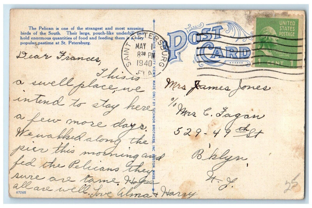 1940 Feeding Pelicans Scene Lake St. Petersburg Florida Sunshine City Postcard