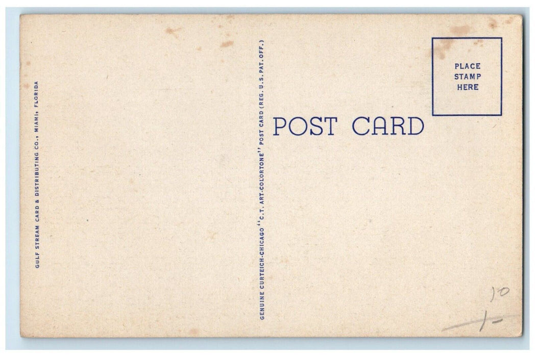c1940 Luxurious Hotel Row South Collins Avenue Miami Beach Florida FL Postcard
