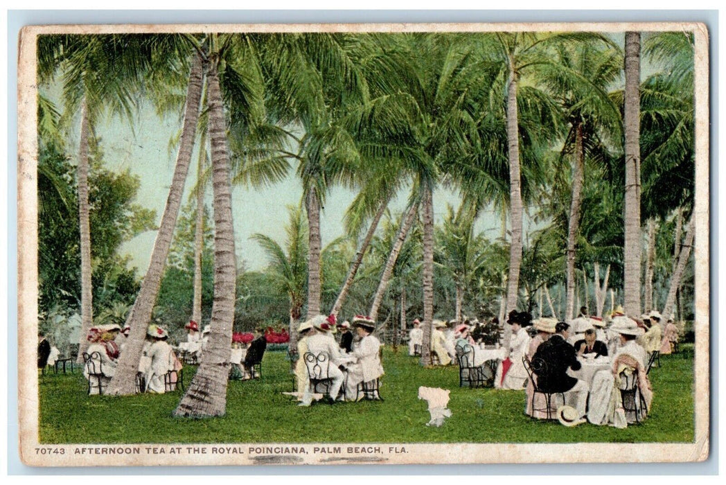 1916 Afternoon Tea Royal Poinciana Party Table Chair Palm Beach Florida Postcard