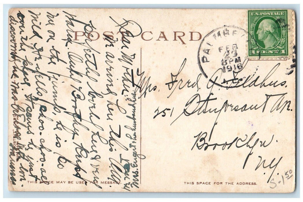 1916 Afternoon Tea Royal Poinciana Party Table Chair Palm Beach Florida Postcard