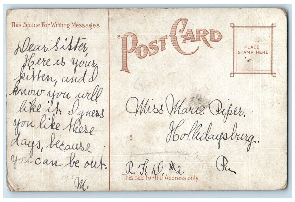 c1910's Happy Easter River Swim Chicks Embossed Posted Antique Postcard