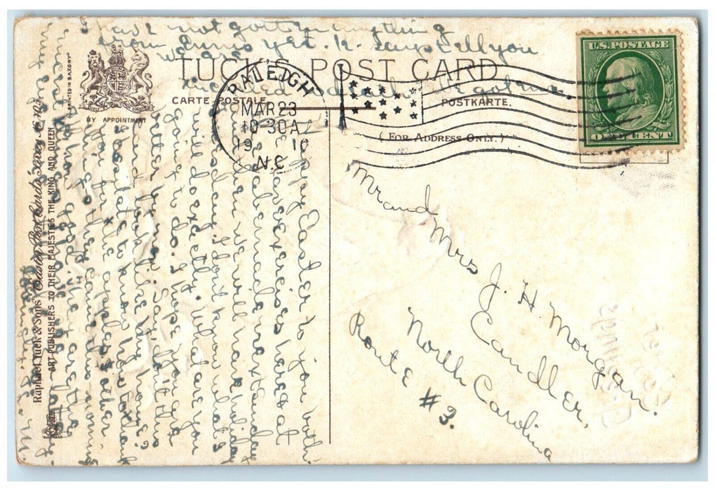 1910 Easter Greetings Chicken Hen Chicks Fence Raleigh NC Tuck's Postcard
