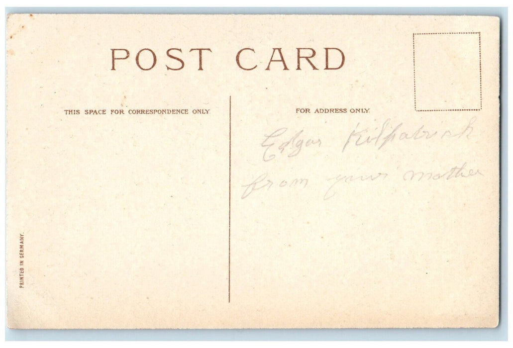 c1910's Easter Chicken Hen Chicks Eggs Nest At Farm Posted Antique Postcard