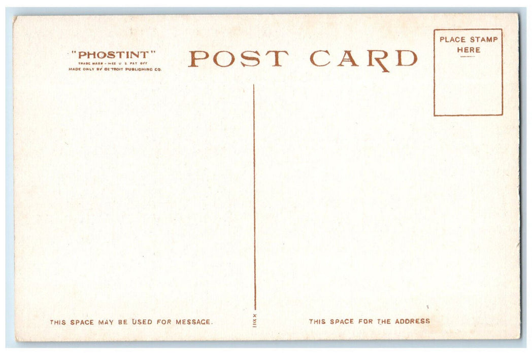 c1920's Sun Parlor of Weldon Hotel Greenfield Massachusetts MA Phostint Postcard