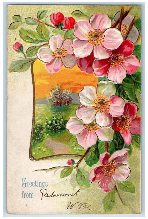 1908 Pink Flowers Greetings from Piedmont West Virginia WV Posted Postcard