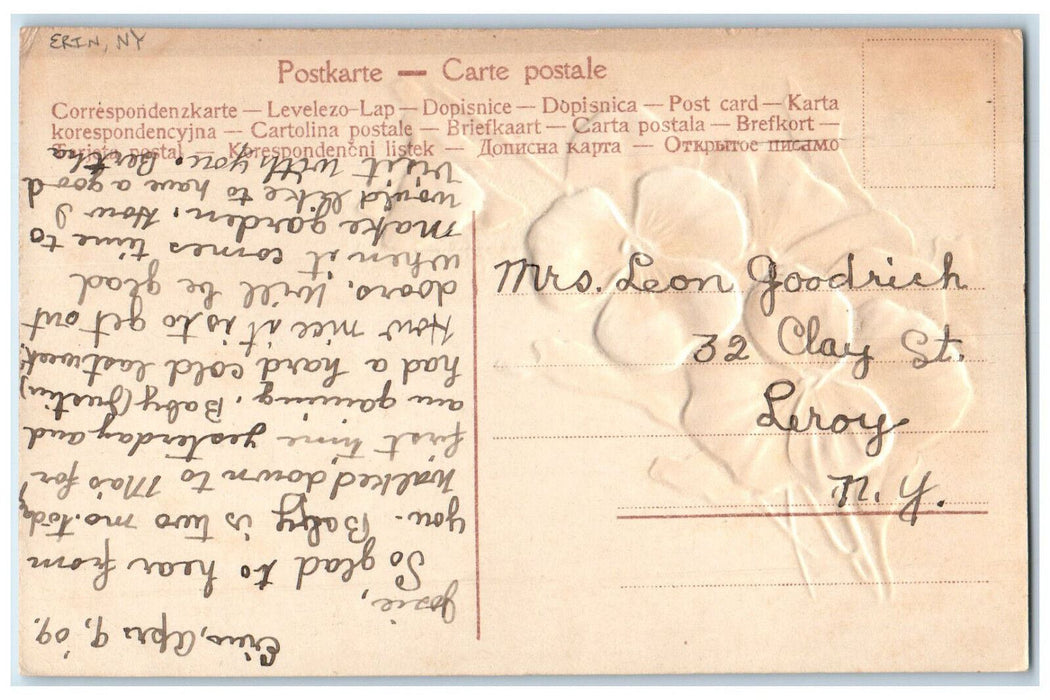 1909 Greetings from Erin New York NY Purple Flower Glitter Posted Postcard