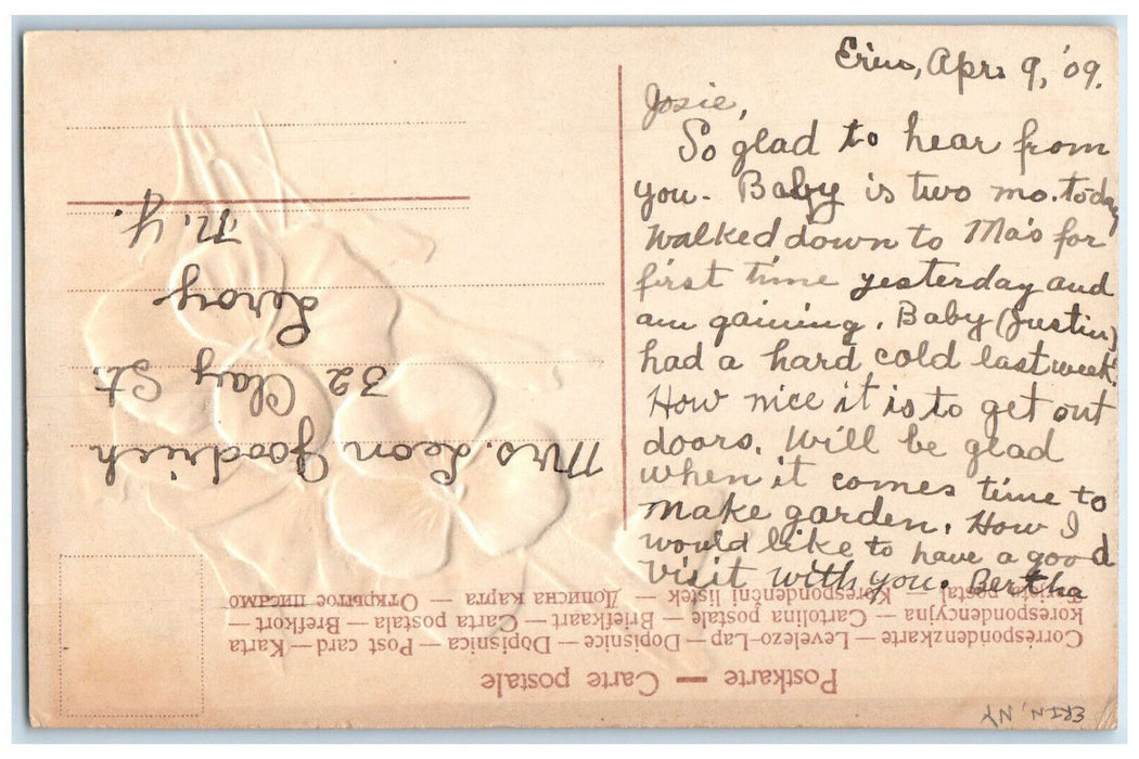 1909 Greetings from Erin New York NY Purple Flower Glitter Posted Postcard