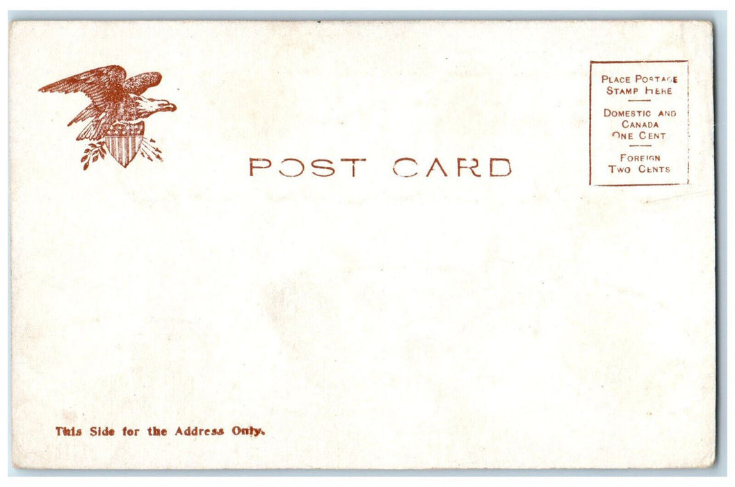 c1905 Greetings from Cohoes NY Large Letters Car Moon Stars Postcard