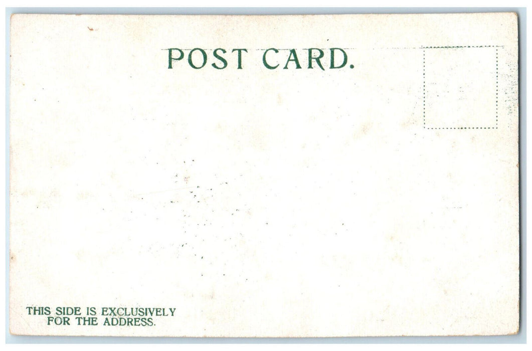 c1905 Greetings from Elmira New York NY Blue Flower Glitters Antique Postcard