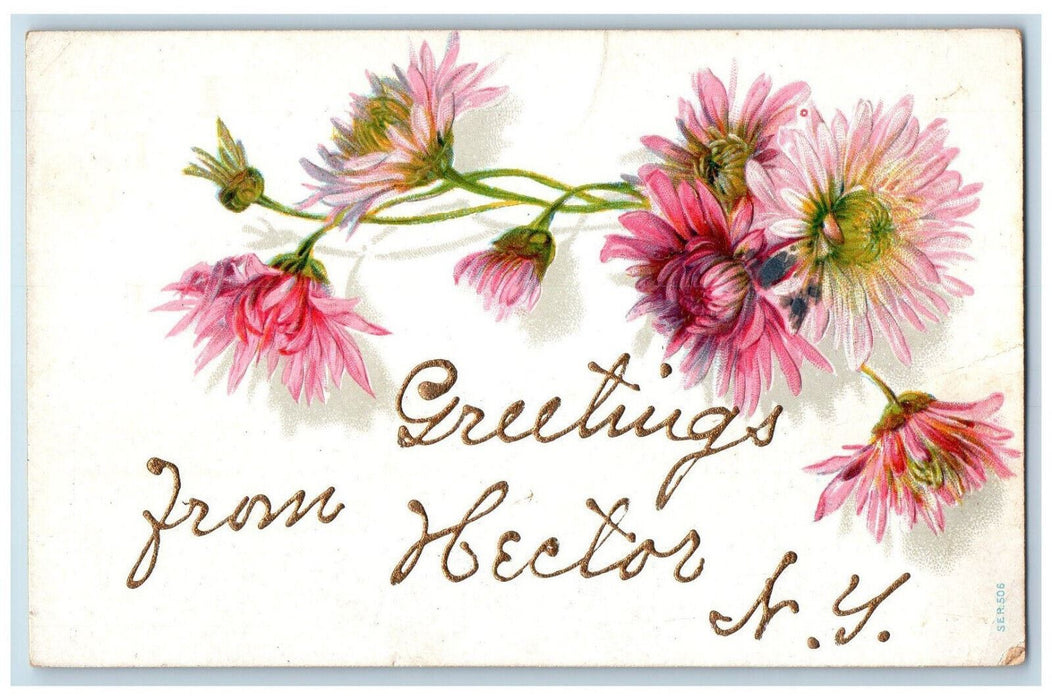 1907 Greetings from Hector New York NY Pink Floral Embossed Postcard