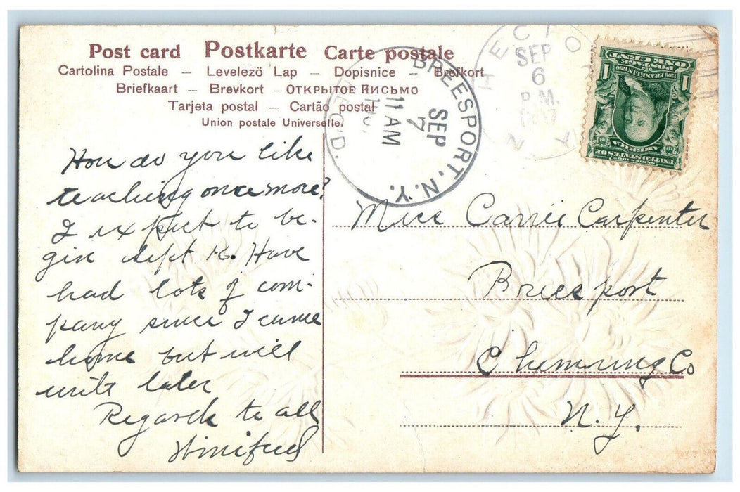 1907 Greetings from Hector New York NY Pink Floral Embossed Postcard