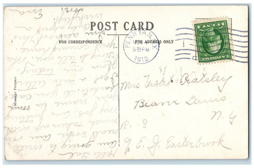 1912 Woman Sitting Message Pennant Dundee New York NY Antique Postcard