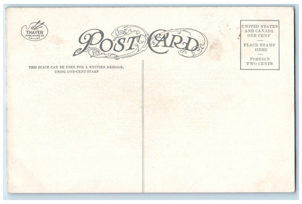 c1910 Antlers Hotel Public Library Colorado Springs Colorado Postcard Postcard