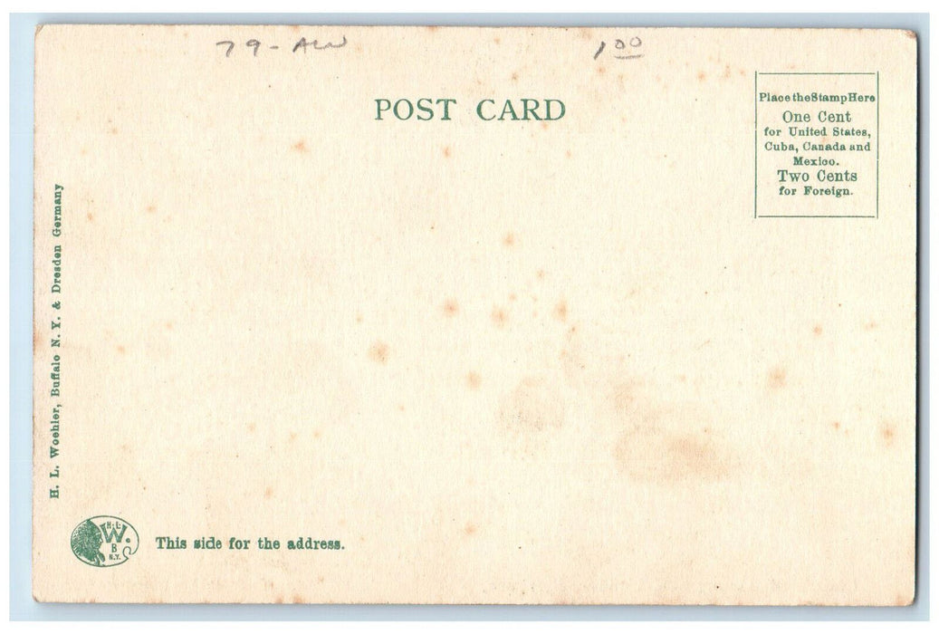 c1905 Church of Assumption Interior Syracuse NY Antique Unposted Postcard