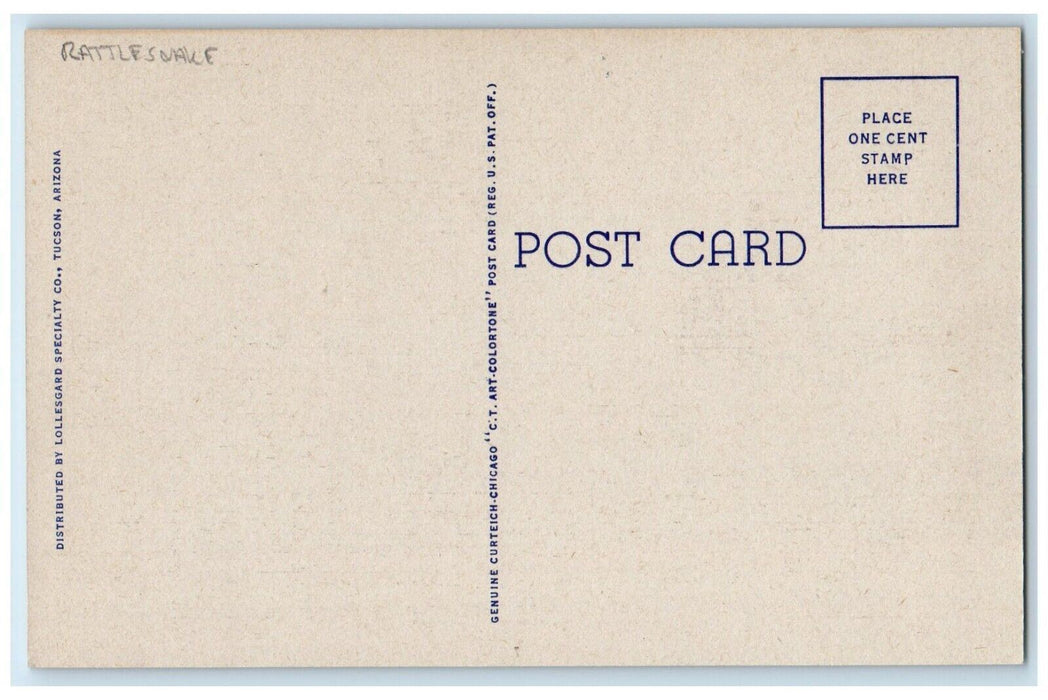 1940 Desert Tragedy Rattlesnake Bite Rabbit Snake Scene Vintage Antique Postcard