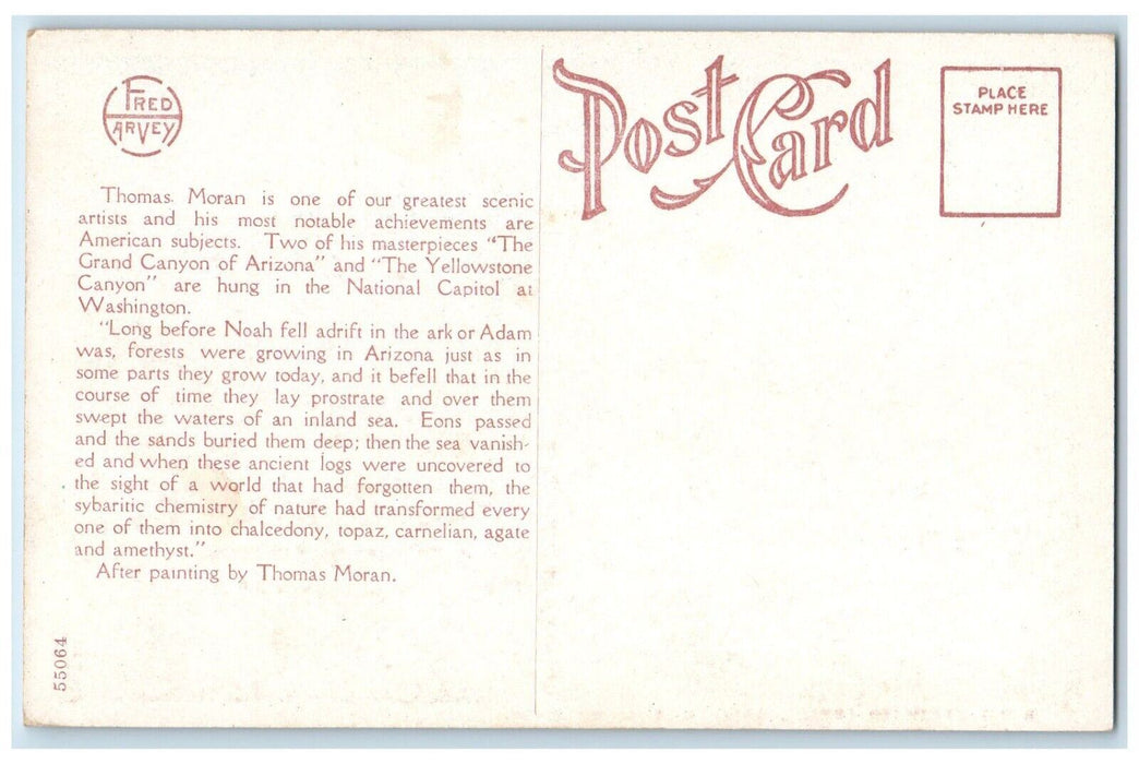 1910 Petrified Forest Grand Canyon Arizona Fred Harvey Vintage Antique  Postcard