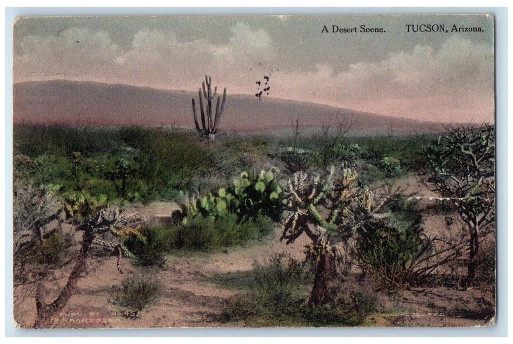 1910 Desert Scene Cactus Plants Sand Hot Tucson Arizona Vintage Antique Postcard