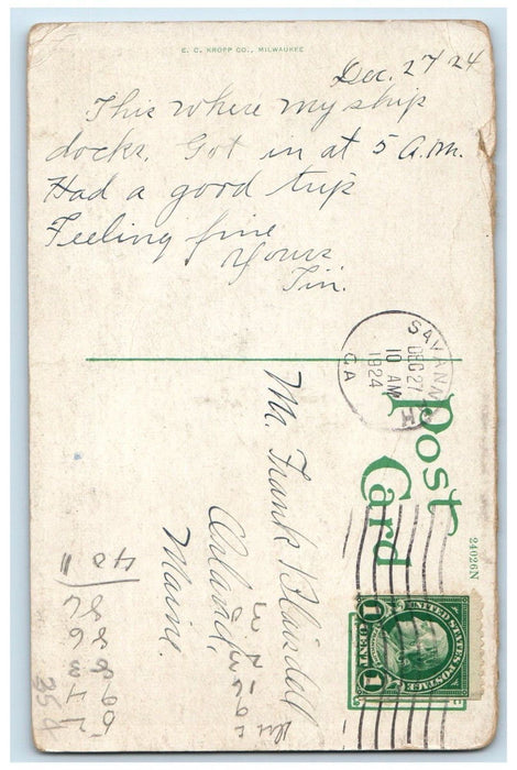 1924 River View Showing Queen Steamship Terminals Savannah Georgia GA Postcard