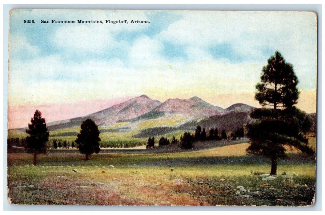 1910 San Francisco Mountains Trees Flagstaff Arizona AZ Vintage Antique Postcard