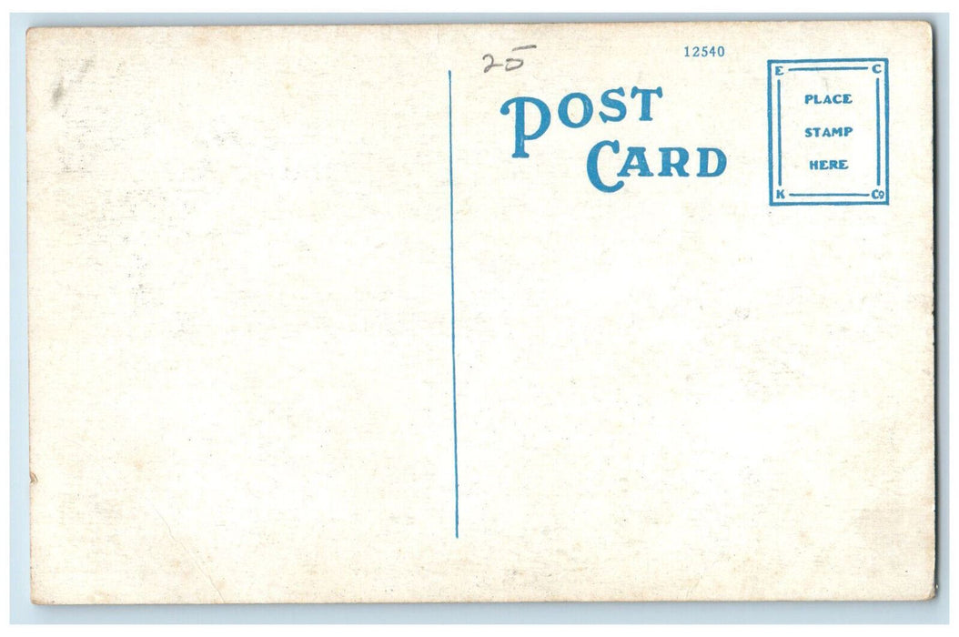 c1920's Central High School Syracuse New York NY Antique Unposted Postcard
