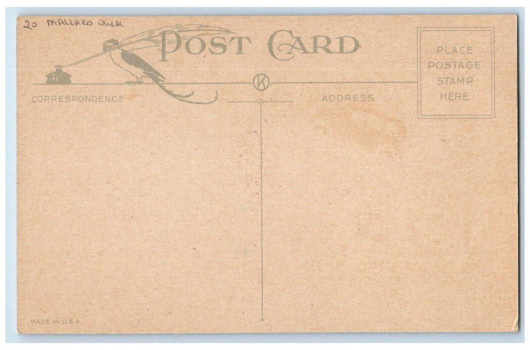 c1910's Easter Greetings Mallard Duck Pulling Boat Chicks Antique Postcard